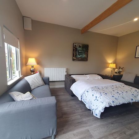 Garden Chalet Oranmore Apartment Galway Luaran gambar