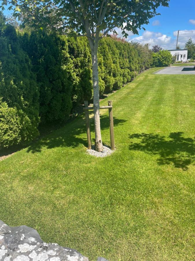 Garden Chalet Oranmore Apartment Galway Luaran gambar